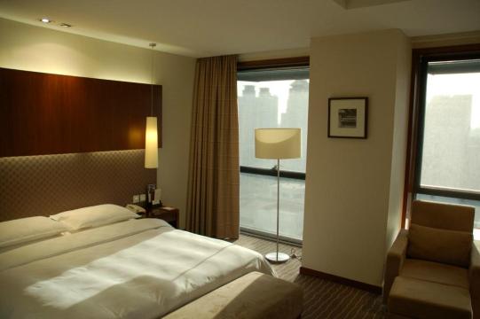 西安志诚丽柏酒店（雁塔区科技路地铁站店）-客卧