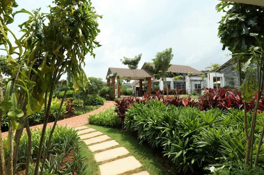 The Ocean Pearl Resort And Spa-官方
