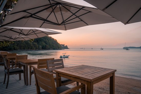 The Cove Phuket-官方
