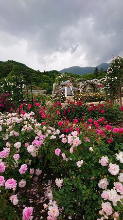 Fujikawa Craft Park景点图片