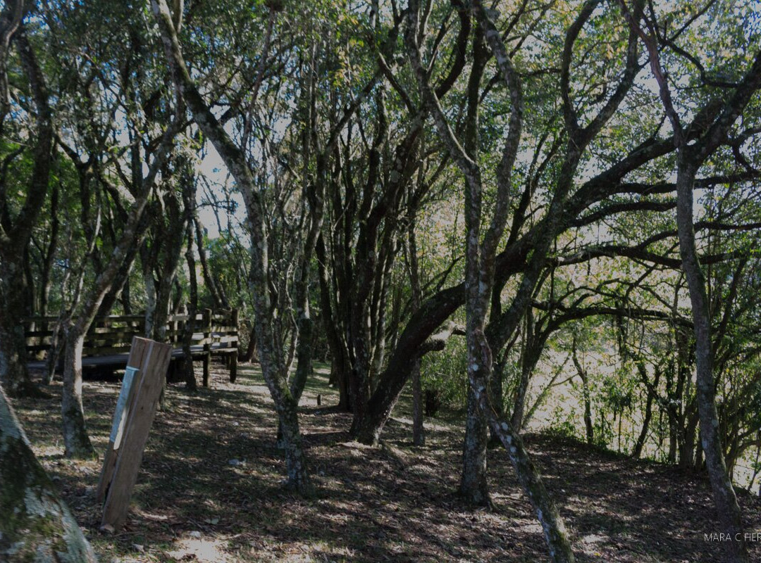 Passeio Da Barragem - Corsan Garibaldi.