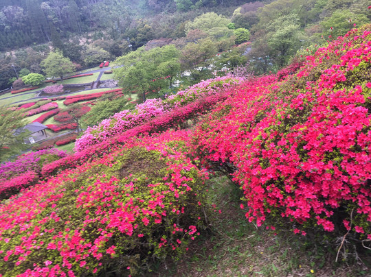 三股町旅游景点-Shiibae Park