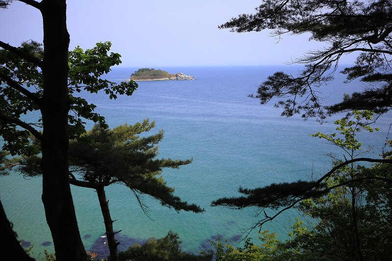 Hwajinpo Pine Forest Road
