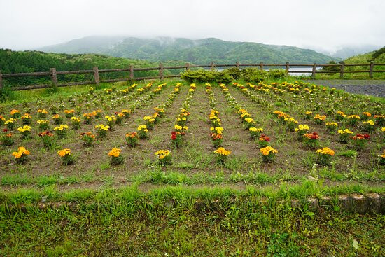 Hatori Lake Observation Deck-天荣村必去景点