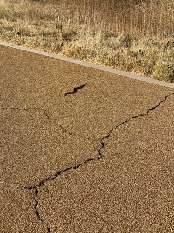 Bommer Canyon Trails-尔湾必去景点