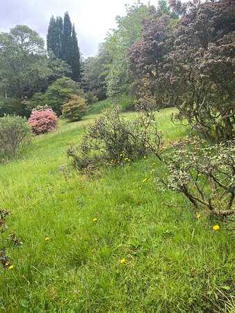 Glenarn Gardens-Rhu必去景点