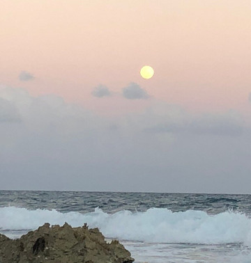 Boat Mexico-阿范特拉斯港必去景点