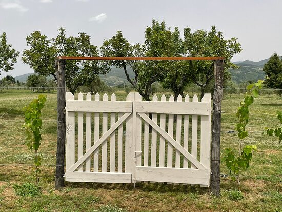Podere GIUSTI主图