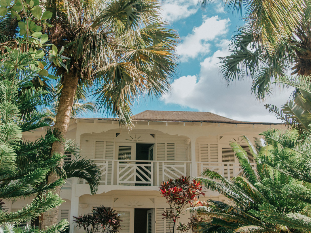 Mosquito Boutique Hotel