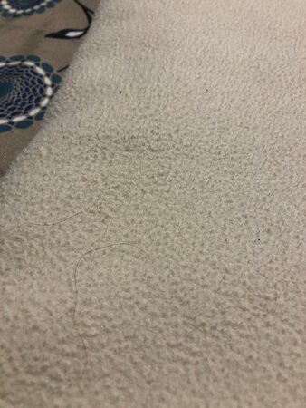 Motel Invitation Inn主图