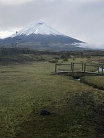 坦博帕西酒店主图