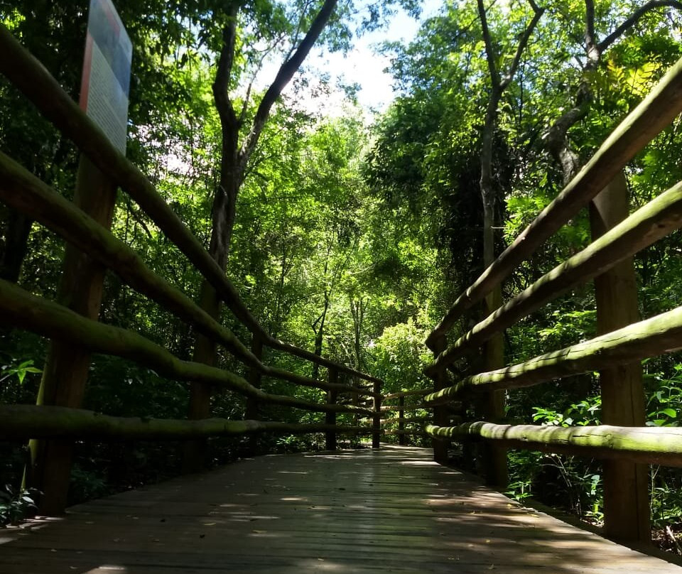 Parque Natural Ilha da Usina-Salto必去景点
