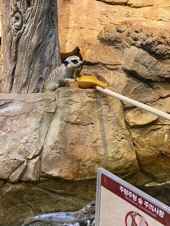 Zoolung Zoolung - Hanam-河南市必去景点