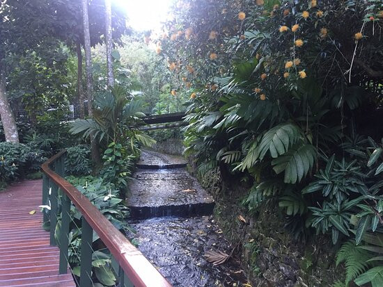 Instituto Moreira Salles - IMS Rio-里约热内卢必去景点