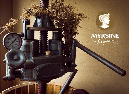 Donori旅游景点-Myrsine Liquori