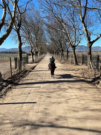 Cabalgatas Valle de Colchagua-圣克鲁斯必去景点