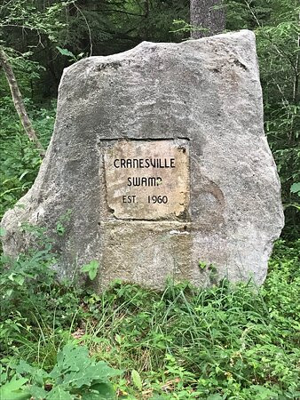 Cranesville Swamp Nature Preserve景点图片