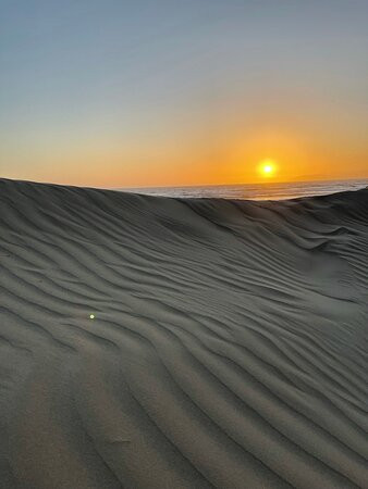 Oceano Dunes State Vehicular Recreation Area景点图片