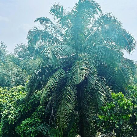 La Villa des Fees主图