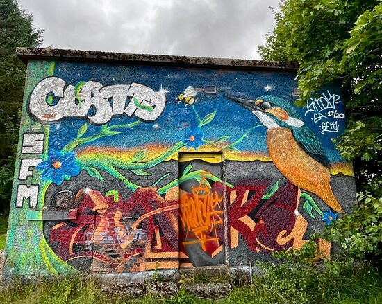 Clatto Country Park-敦提必去景点