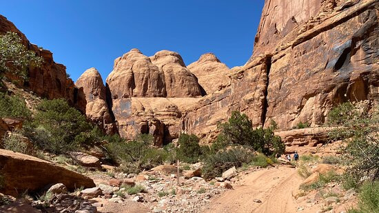 Moab Canyon Tours景点图片