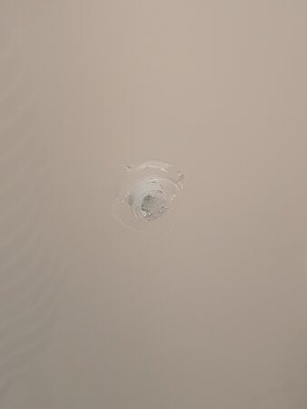 帕威里恩1770酒店主图