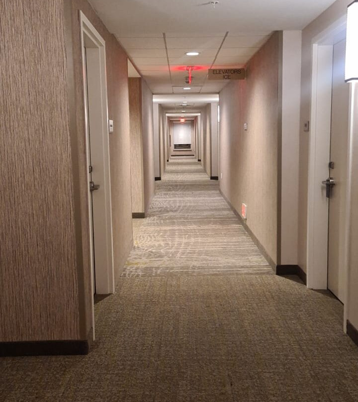 SpringHill Suites by Marriott Anaheim Placentia/Fullerton主图