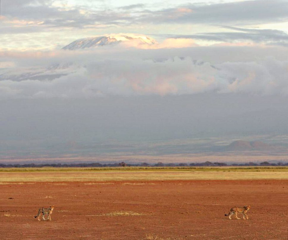 Taste Of Africa Adventures-Kimana必去景点