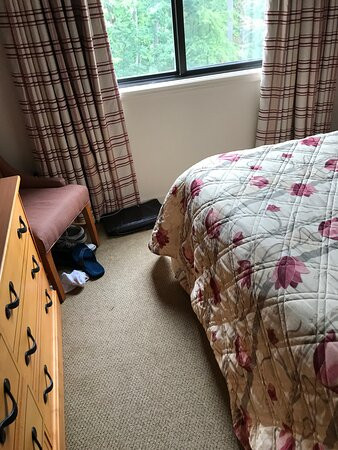 Massanutten Resort主图