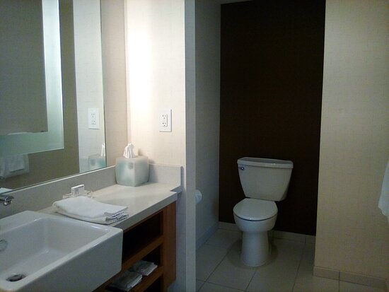 Springhill Suites Canton-浴室