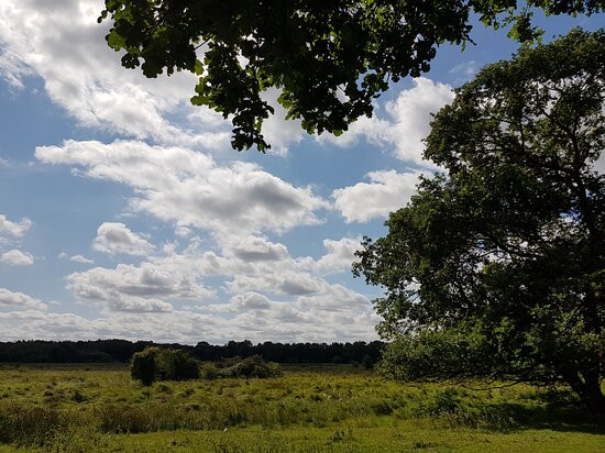 Redgrave and Lopham Fen-迪斯必去景点