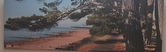 Avon Beach Bed and Breakfast主图
