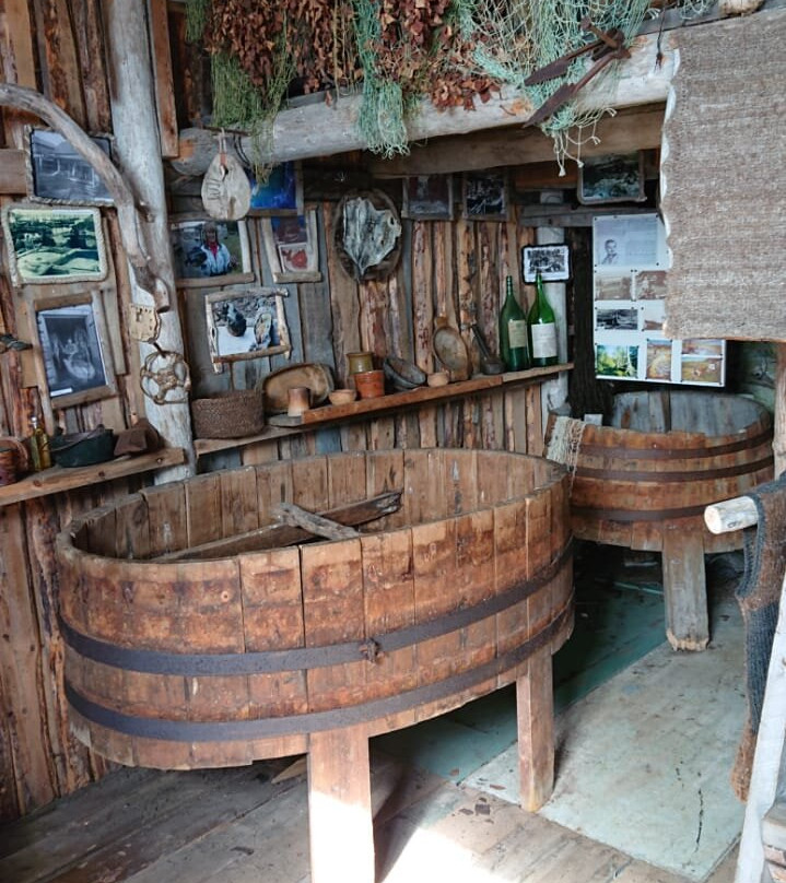 Open Air Museum Tonya Tetrina景点图片