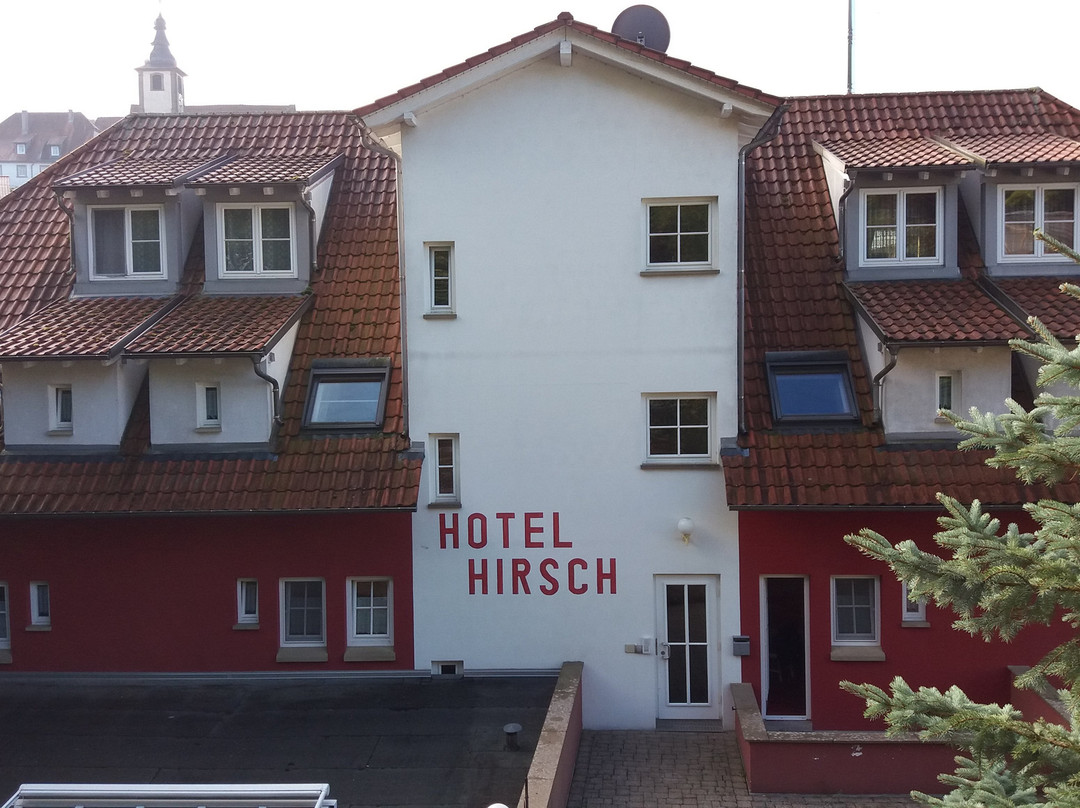 Cross-Country-Hotel Hirsch主图