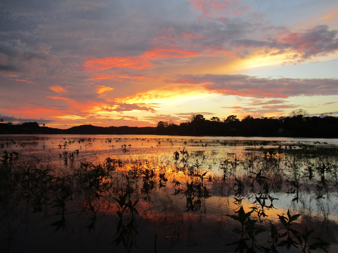 Gabon Adventure Tours