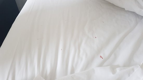 最佳西方嗨盖特汽车旅馆主图