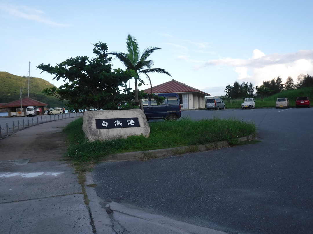 Shirahama Port景点图片