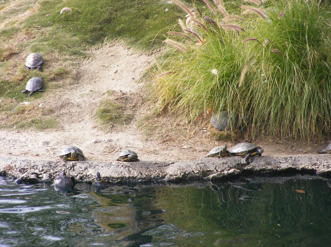 喜瑞都旅游攻略图片
