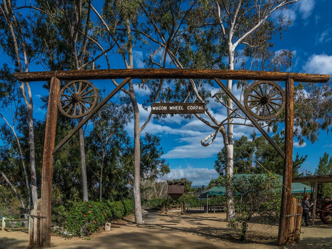 莱克福里斯特旅游攻略图片