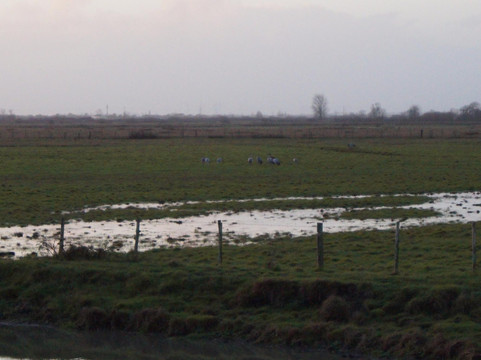 Saint-Denis-du-Payre旅游攻略图片