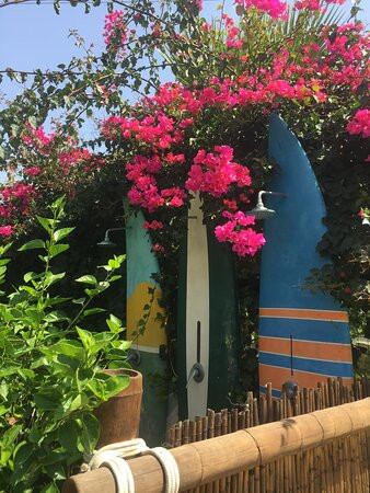 Floripa Yoga & Kitesurf House主图
