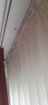 Meninya Palms Moama主图