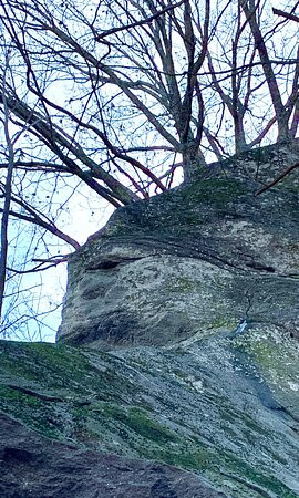 Melrose Falls-Saluda必去景点