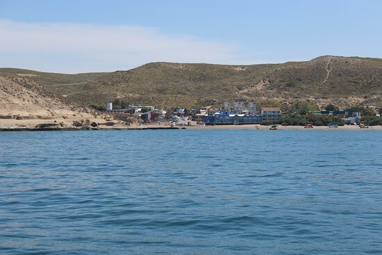 Puerto Piramides景点图片