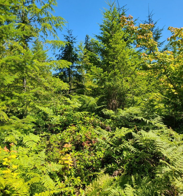 Mima Falls-Littlerock必去景点