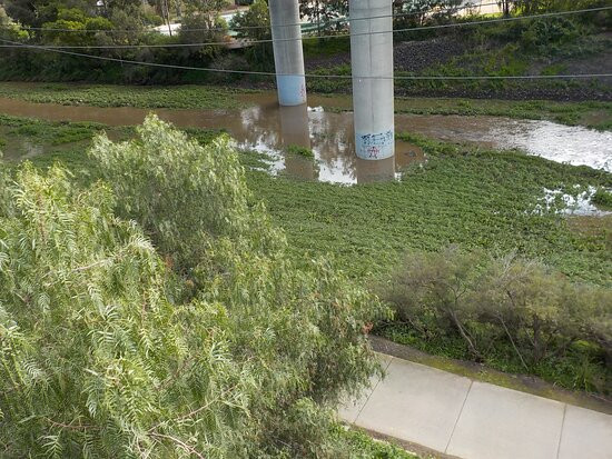 墨尔本单车道-墨尔本必去景点