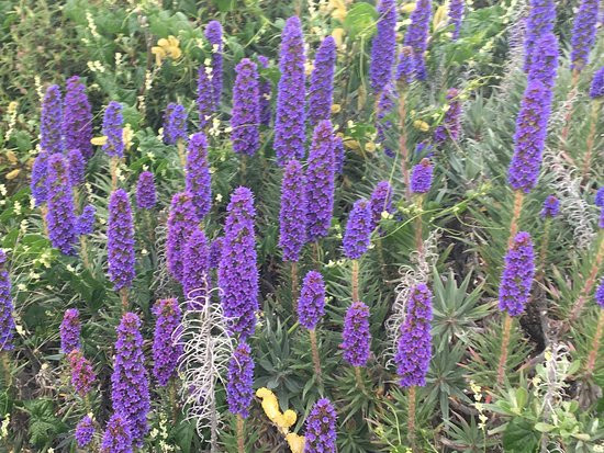 Bodega Bay Inn主图