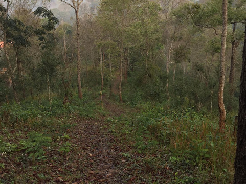 Pa Pae Meditation Retreat-夜登必去景点