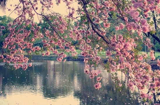 火车公园-曼谷必去景点