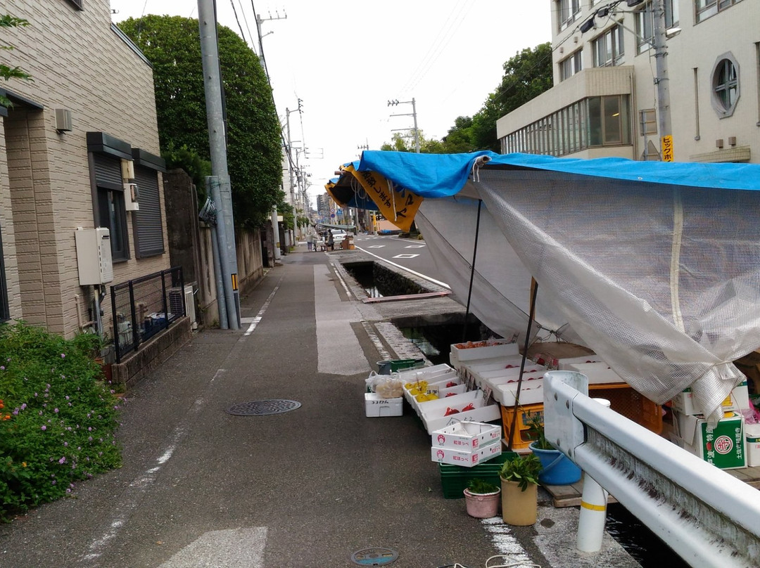 Tuesday Street Market-高知市必去景点